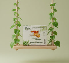Infusion de Moringa au Gingembre