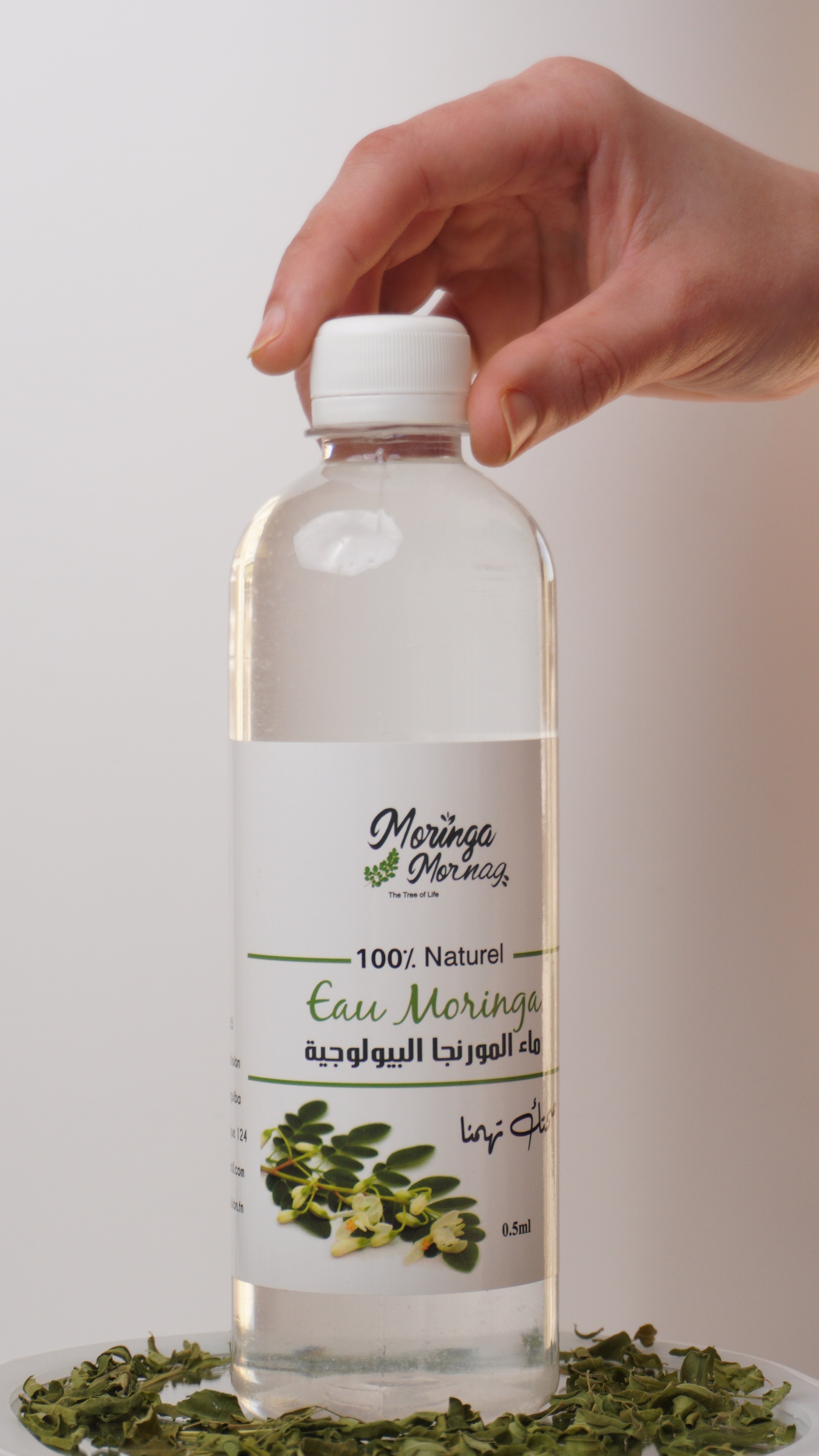Hydrolat de fleur de Moringa