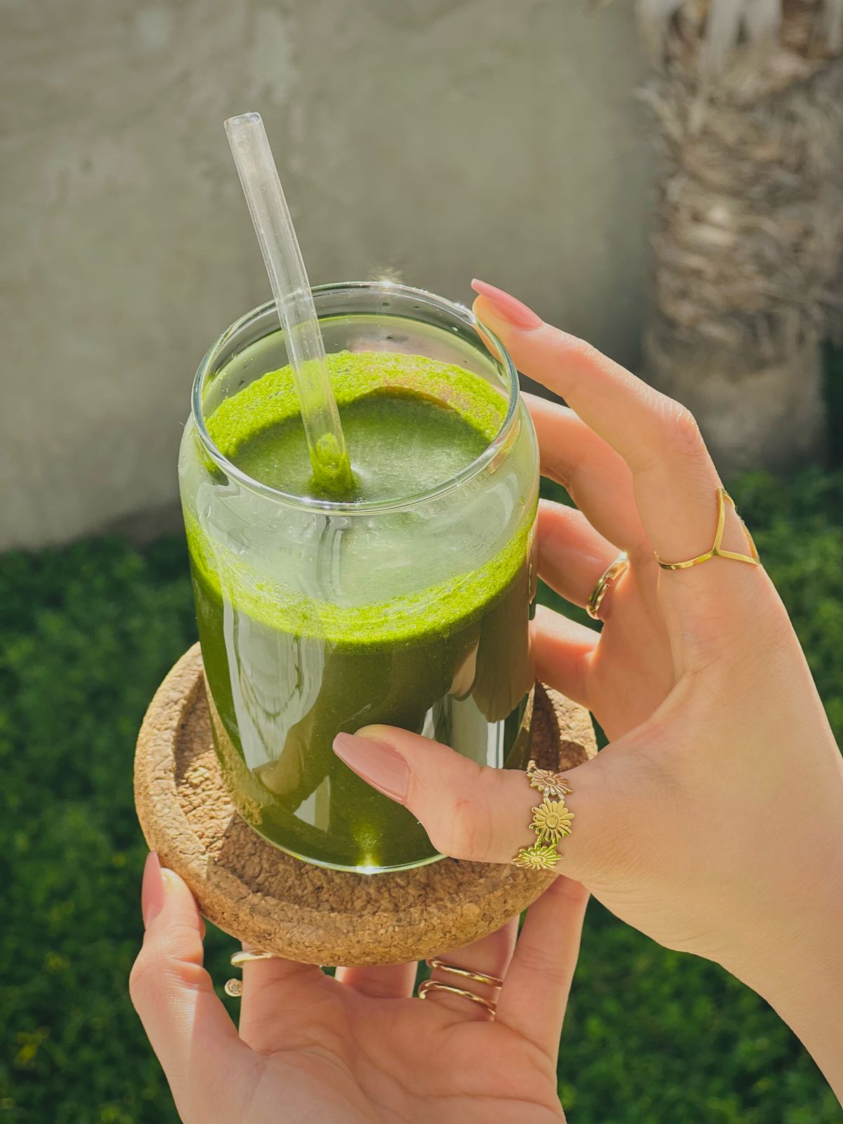 Poudre de moringa
