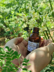 Huile de Moringa magique